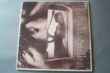 Al di Meola Splendido Hotel (Vinyl 2LP)