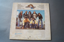 Doobies Best of (Vinyl LP)