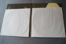 Rod Stewart The Best of (Vinyl 2LP)