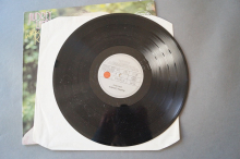 Audrey Landers Little River (Vinyl LP)