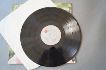 Audrey Landers Little River (Vinyl LP)