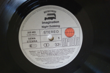 Imagination Night Dubbing (Vinyl LP)