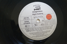 Imagination Night Dubbing (Vinyl LP)