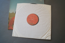 Leo Kottke Dreams and all that Stuff (Vinyl LP)