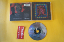 Violent Femmes Add it up 1981-1993 (CD)