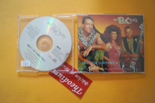 B-52s Meet the Flintstones (Maxi CD)