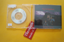 Fury in the Slaughterhouse Won´t forget these Days (3inch Maxi CD)
