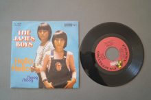 James Boys Hello Hello (Vinyl Single 7inch)