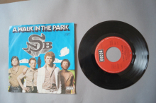 Nick Straker Band A Walk in the Park (Vinyl Single 7inch)
