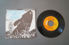 Art Garfunkel Bright Eyes (Vinyl Single 7inch)