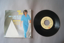 Peter Kent Take a Ride on the Peace Train (Vinyl Single 7inch)