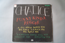 Chalice Funny Kind a Reggae (Vinyl Maxi Single)