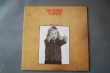 Hothouse Flowers Don´t go (Vinyl Maxi Single)