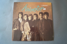 Animotion I engineer (Vinyl Maxi Single)
