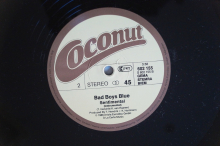 Bad Boys Blue Kisses and Tears (Vinyl Maxi Single)