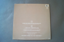 Gregory Abbott Shake you down (Vinyl Maxi Single)