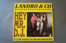 Landro & Co. Hey Mr. D.J. (Vinyl Maxi Single)