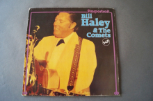 Bill Haley & The Comets Starportrait (Vinyl 2LP)