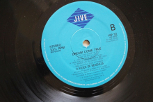 A Flock of Seagulls Dream come true (Vinyl LP)